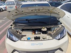 BYD Seagull Flying Edition - ფოტო 20