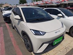 BYD Seagull Flying Edition - ფოტო 4