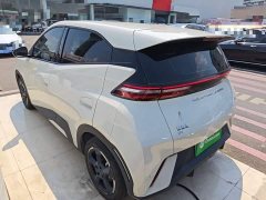 BYD Seagull Flying Edition - ფოტო 5