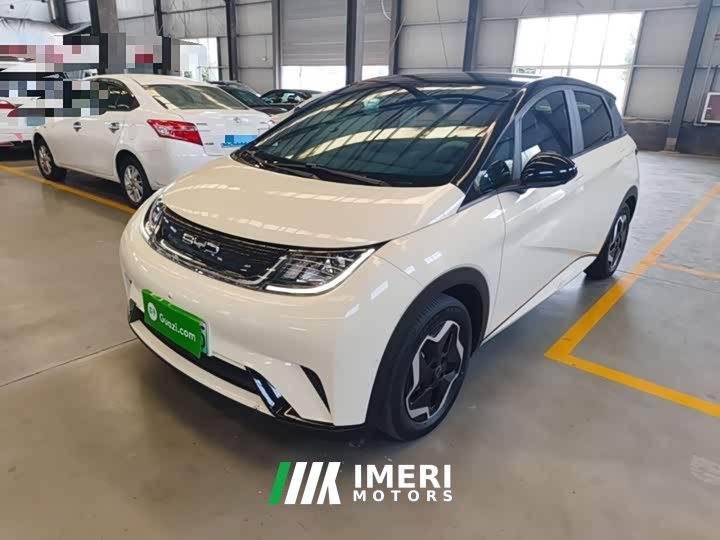 BYD Dolphin 405km Fashion Edition - ავტომობილი ჩინეთიდან