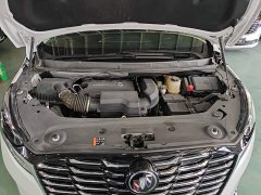 Buick GL8 ES LuZun Flagship - ფოტო 20