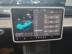 Tesla Model Y Rear-Wheel Drive - ფოტო 13