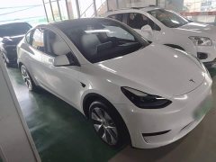 Tesla Model Y Rear-Wheel Drive - ფოტო 4