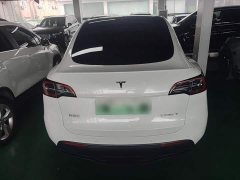 Tesla Model Y Rear-Wheel Drive - ფოტო 6
