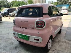 FAW Besturn Xiaoma 222km Linglong Edition - ფოტო 7