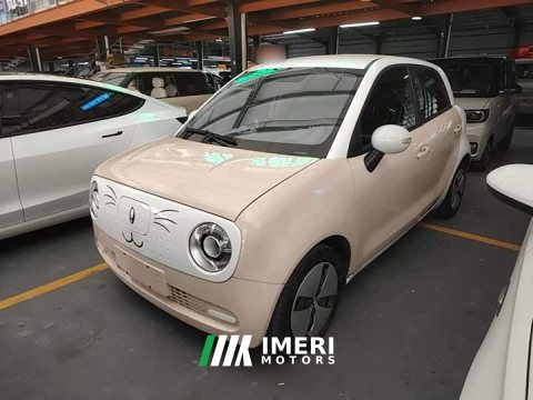 2021 ORA Black Cat 2022 301km Cute Pet Edition LFP Battery - ავტომობილი ჩინეთიდან