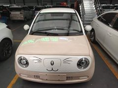 ORA Black Cat 2022 301km Cute Pet Edition LFP Battery - ფოტო 3