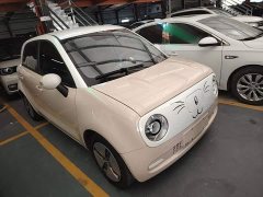 ORA Black Cat 2022 301km Cute Pet Edition LFP Battery - ფოტო 4