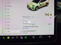 Tesla Model Y Standard Range RWD - ფოტო 12
