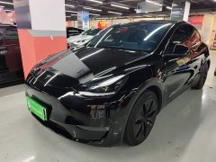 Tesla Model Y Standard Range RWD - ფოტო 2