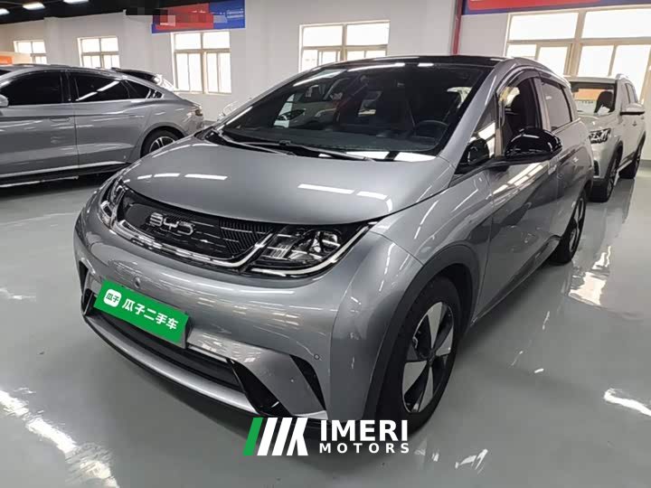 BYD Dolphin 420km Fashion Edition - ავტომობილი ჩინეთიდან