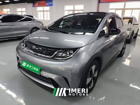 2023 BYD Dolphin 420km Fashion Edition - ავტომობილი ჩინეთიდან