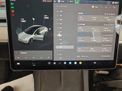 Tesla Model 3 Standard Range RWD Upgrade 3D6 - ფოტო 12