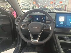 BYD Destroyer 05 Champion Edition DM-i 55KM Luxury - ფოტო 11