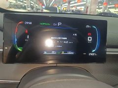 BYD Destroyer 05 Champion Edition DM-i 55KM Luxury - ფოტო 12