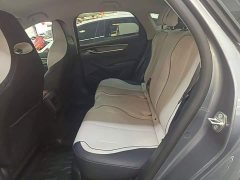 BYD Destroyer 05 Champion Edition DM-i 55KM Luxury - ფოტო 17