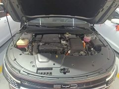 BYD Destroyer 05 Champion Edition DM-i 55KM Luxury - ფოტო 20
