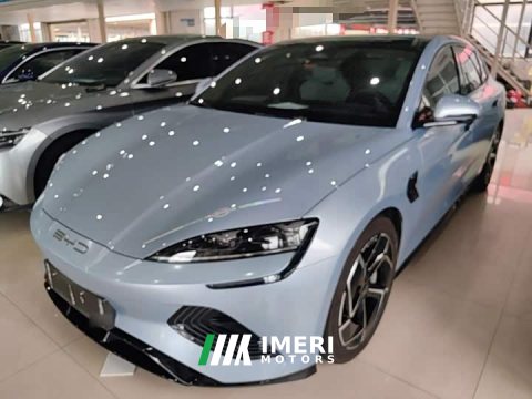 2022 BYD Dolphin 700km Long Range Rear-Wheel Drive - ავტომობილი ჩინეთიდან