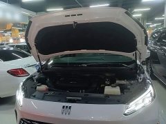 Buick GL8 New Energy Lusang Respect Edition - ფოტო 20