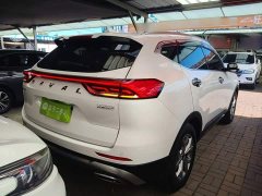 Haval H6 National Trend 1.5T Automatic Champion Edition - ფოტო 7