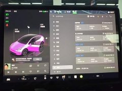 Tesla Model Y Rear-Wheel Drive - ფოტო 12