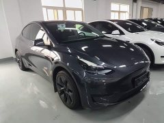 Tesla Model Y Rear-Wheel Drive - ფოტო 4