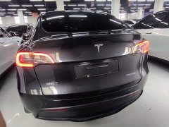 Tesla Model Y Rear-Wheel Drive - ფოტო 6