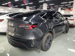 Tesla Model Y Rear-Wheel Drive - ფოტო 7