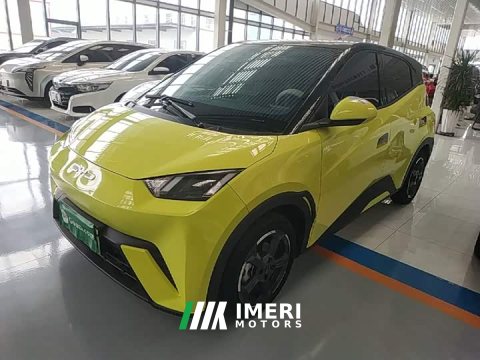 2024 BYD Seagull 2023 Freedom Edition - ავტომობილი ჩინეთიდან