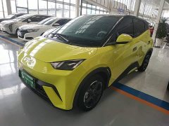 BYD Seagull 2023 Freedom Edition - ფოტო 2