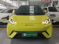 BYD Seagull 2023 Freedom Edition - ფოტო 3