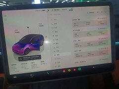 Tesla Model Y Rear-Wheel Drive - ფოტო 12