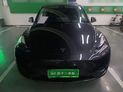 Tesla Model Y Rear-Wheel Drive - ფოტო 3