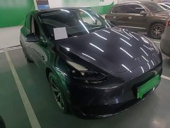 Tesla Model Y Rear-Wheel Drive - ფოტო 4