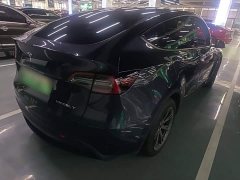 Tesla Model Y Rear-Wheel Drive - ფოტო 7