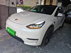 Tesla Model Y Standard Range RWD - ფოტო 1