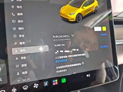 Tesla Model Y Standard Range RWD - ფოტო 12