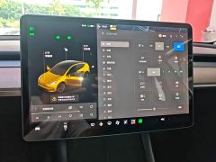 Tesla Model Y Standard Range RWD - ფოტო 13