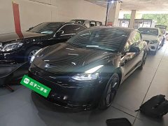 Tesla Model 3 Standard Range RWD Upgrade 3D6 - ფოტო 1