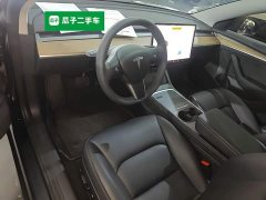 Tesla Model 3 Standard Range RWD Upgrade 3D6 - ფოტო 10