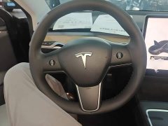 Tesla Model 3 Standard Range RWD Upgrade 3D6 - ფოტო 11