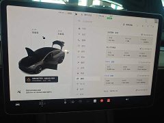 Tesla Model 3 Standard Range RWD Upgrade 3D6 - ფოტო 12