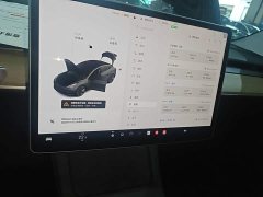 Tesla Model 3 Standard Range RWD Upgrade 3D6 - ფოტო 13