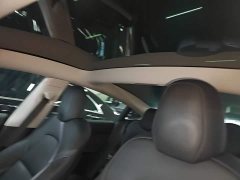 Tesla Model 3 Standard Range RWD Upgrade 3D6 - ფოტო 18
