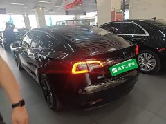 Tesla Model 3 Standard Range RWD Upgrade 3D6 - ფოტო 5