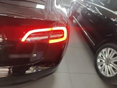 Tesla Model 3 Standard Range RWD Upgrade 3D6 - ფოტო 8