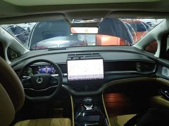 Denza BYD Denza D9 2024 DM-i 980 Four-Wheel Drive Premium - ფოტო 10