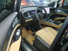 Denza BYD Denza D9 2024 DM-i 980 Four-Wheel Drive Premium - ფოტო 16
