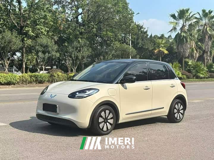 Wuling Binguo 333km Joy Edition - ავტომობილი ჩინეთიდან