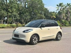 Wuling Binguo 333km Joy Edition - ფოტო 2